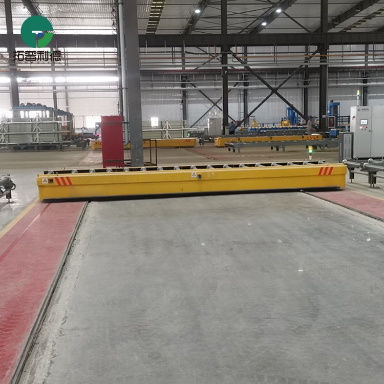 Long Size Electric Roller Table RGV