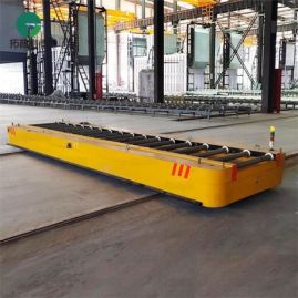 3T Customized Warehouse Rail Guided Vehivles With Roller Table