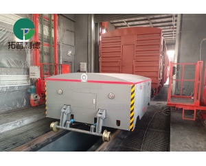 300 Tons Rail-Road Vehicle for Coal Boxes Handling