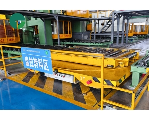 Rail Transfer Cart with Roller Table for High Effienicy Transportation