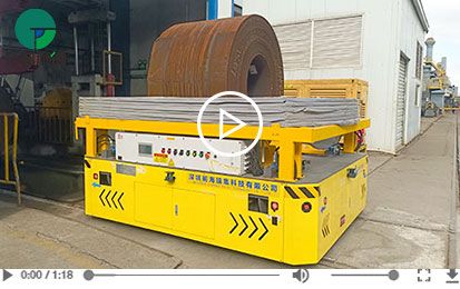 Customized Transfer Cart in Different Application scenario