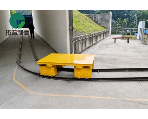 Custom Designed Curved Rail Transfer Carts Solve Transfer Problems